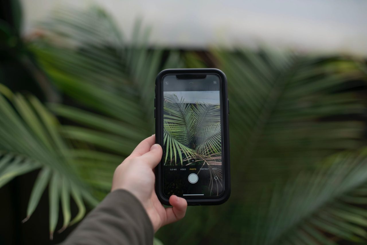 aplikasi edit background foto online