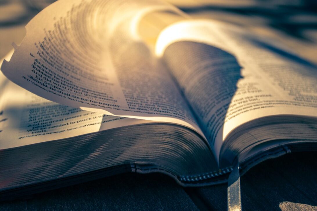 aplikasi menulis novel dibayar aplikasi menulis novel dibayar